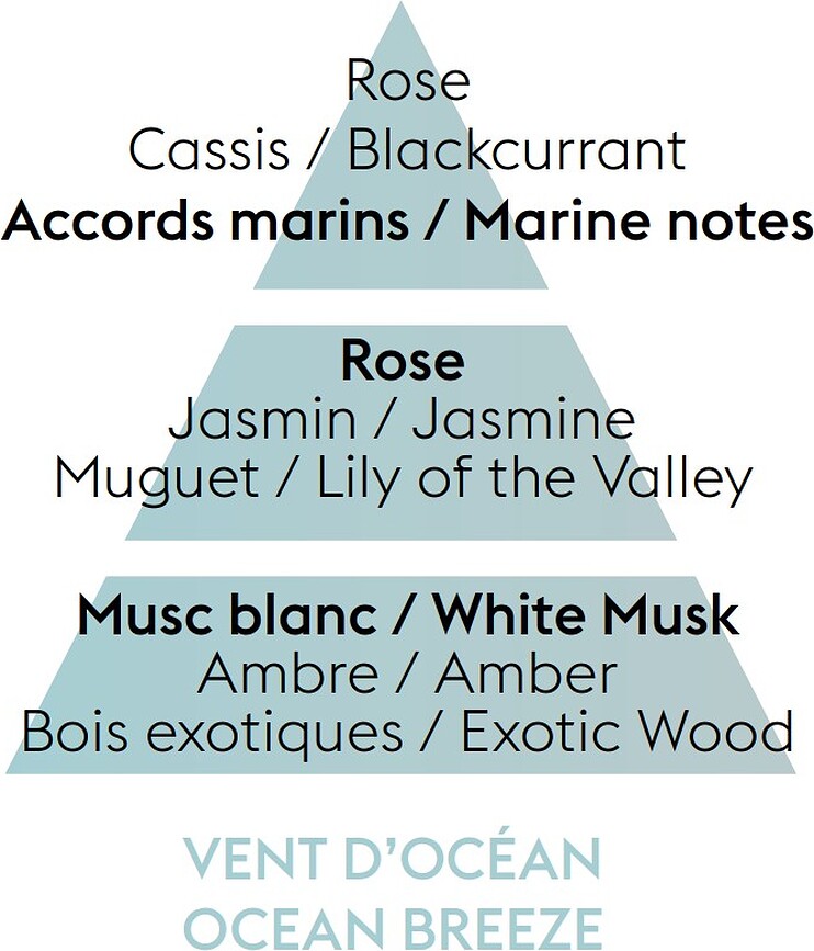 Ocean Breeze Parfum pour Diffuseur de Voiture