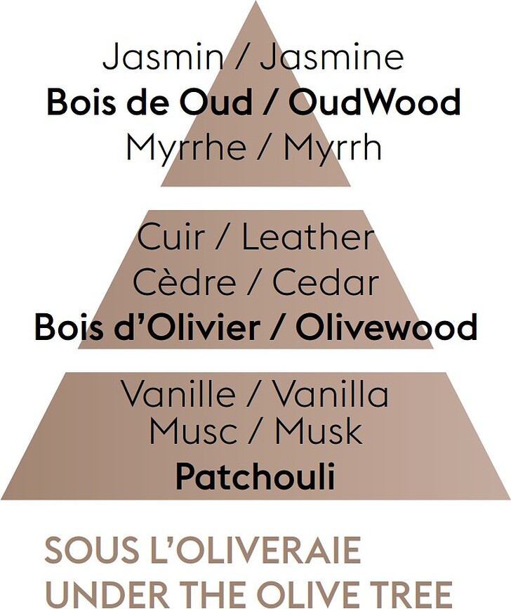 Fragancia para Lámpara Catalítica Under the Olive Tree, 1 l