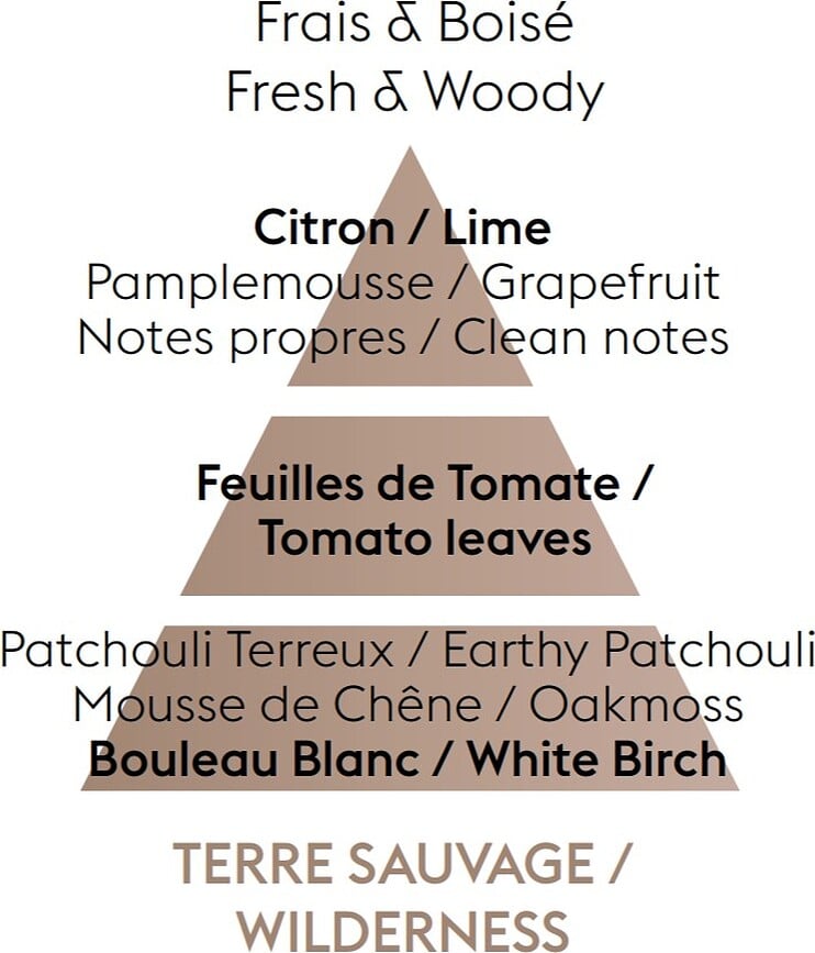 Prisme Diffuseur de Parfum, noir, parfum Wilderness