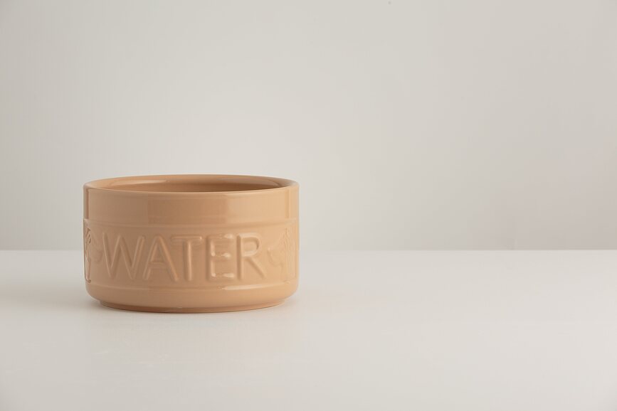 Cuenco para Perro Petware Cane, para agua, 20 cm