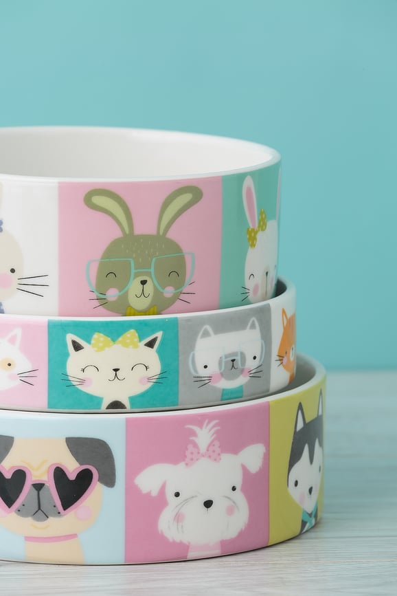 Cuenco para Perro Pawtrait 15 cm