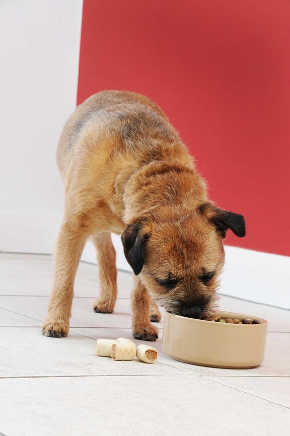 Cuenco para perro Petware Cane, 18 cm, liso