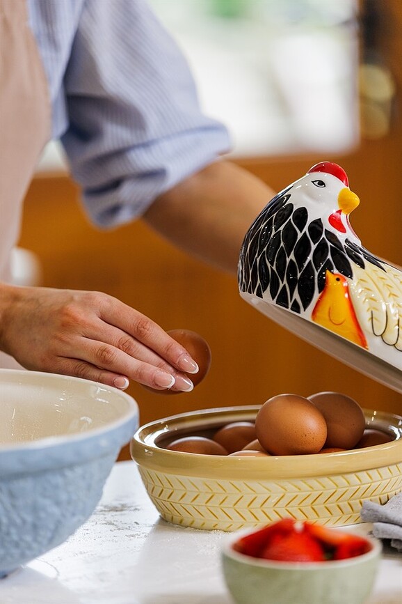 Home To Roost Skleda, 2,7 l, modra