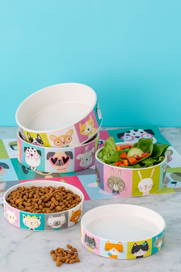 Pawtrait Μπολ Σκύλου, 15 εκ.