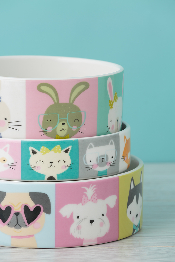 Pawtrait Posoda za psa, 15 cm