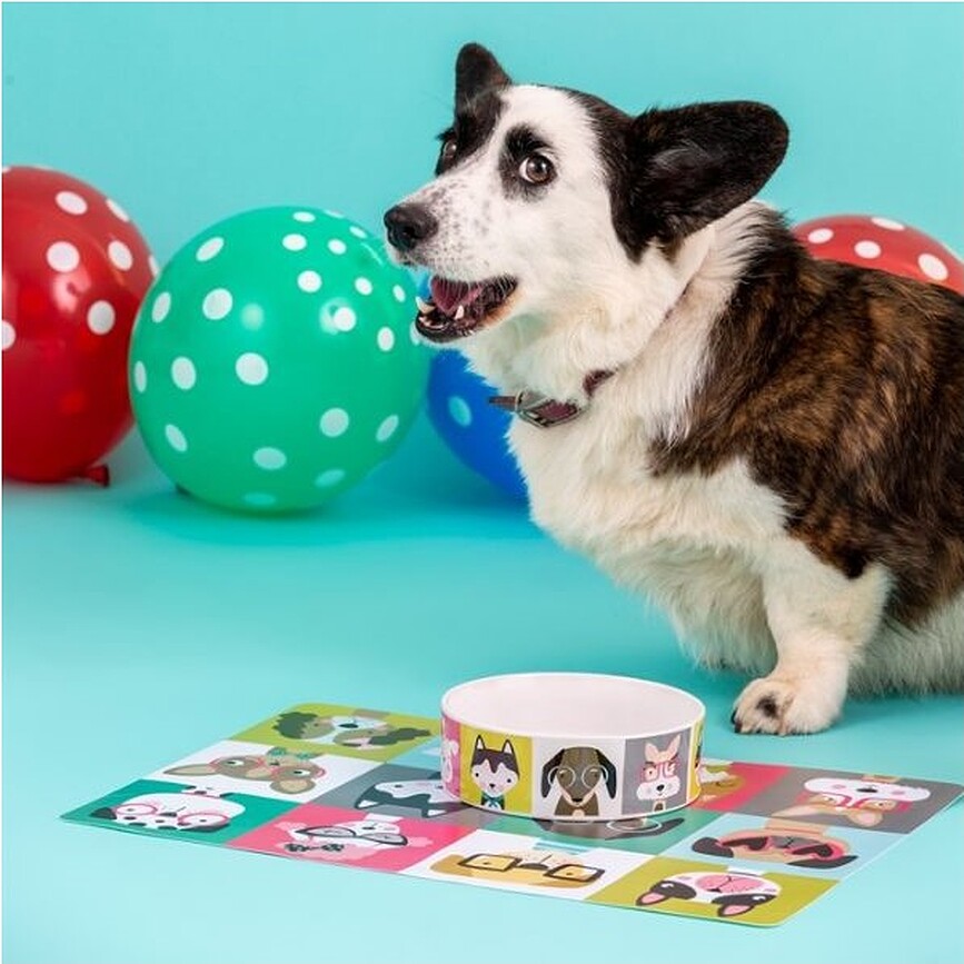 Pawtrait Posoda za psa, 15 cm