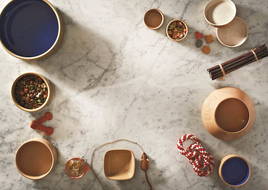 Petware Cane ΜΠΟΛ για σκύλο, νερού, 20 cm