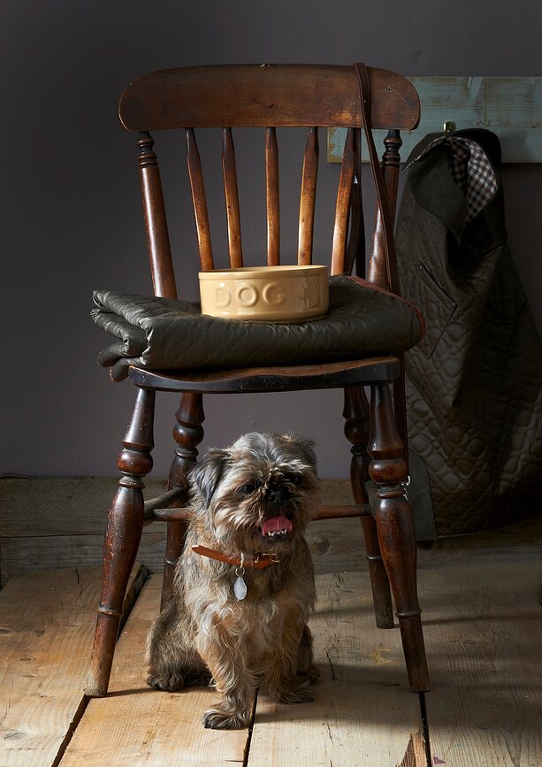 Petware Cane Posuda za psa 20 cm