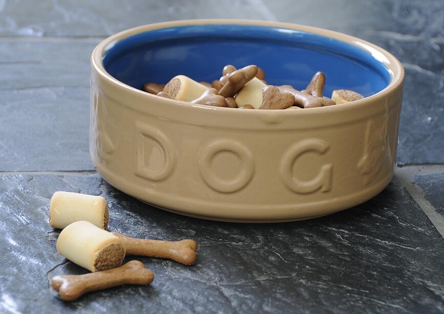 Petware Gamelle pour chien, grande