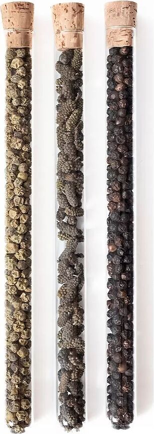 Gourmet Moulin à Épices avec 3 types de poivre, Set 4 pièces