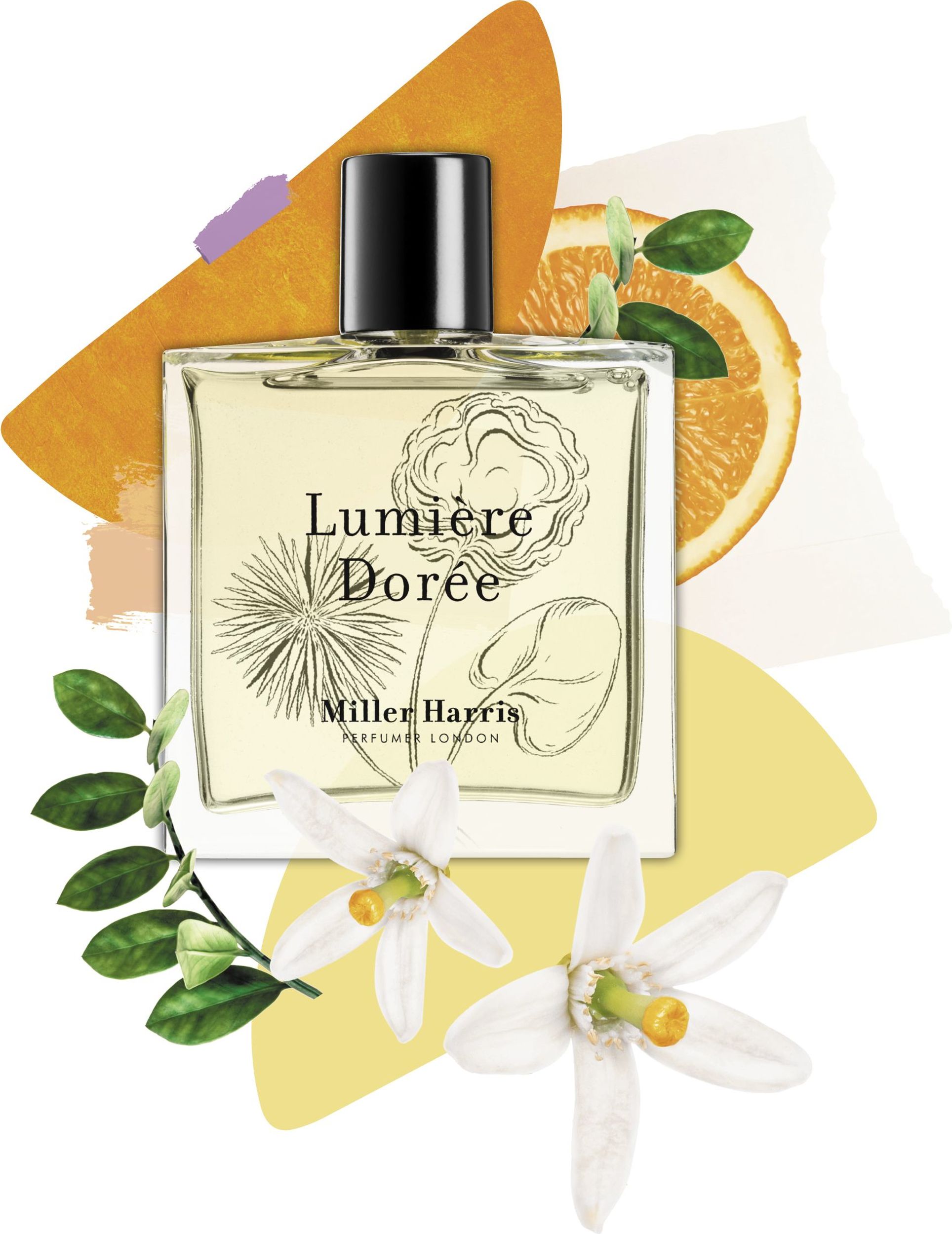 Miller Harris Lumiere Doree Eau de Parfum - LD/014A | FormAdore