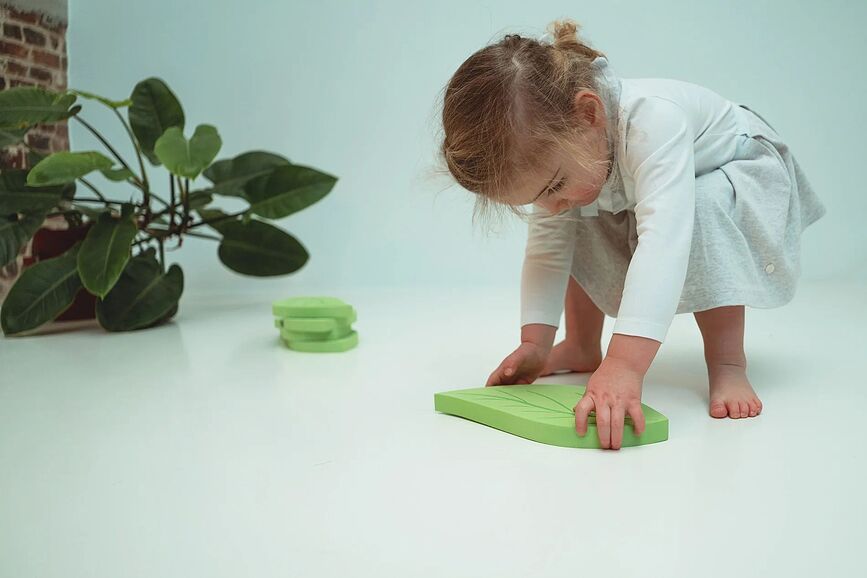 Juego de Equilibrio Stepping, conchas, Set de 5 piezas