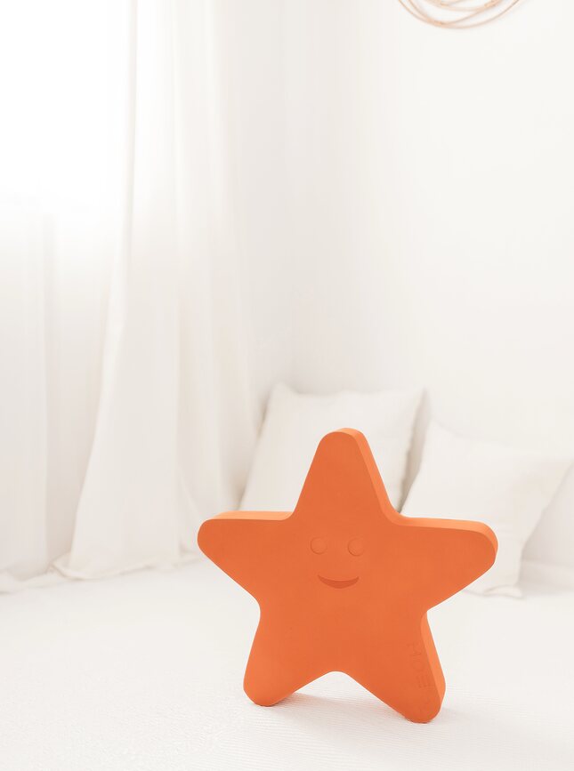 Juguete de Actividad Sea Life, estrella de mar