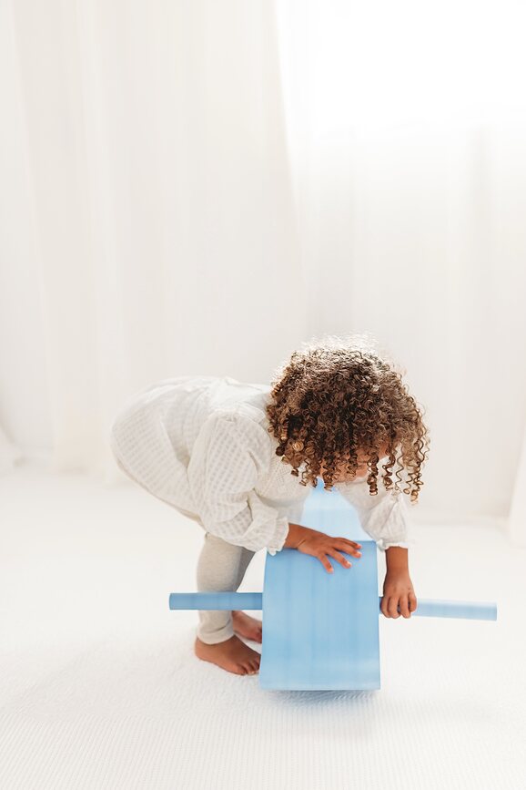 Juguete de arrastre Sea Life, diseño de delfín