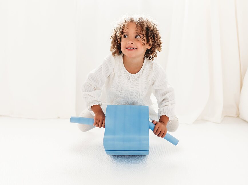 Sea Life Igračka dupin za motoriku