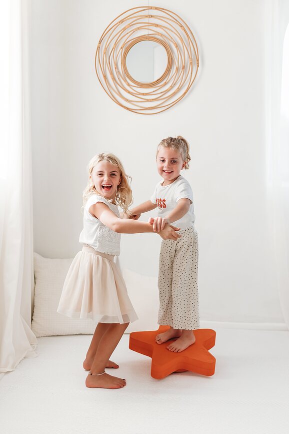 Sea Life Παιχνίδι Δραστηριοτήτων, Αστερίας