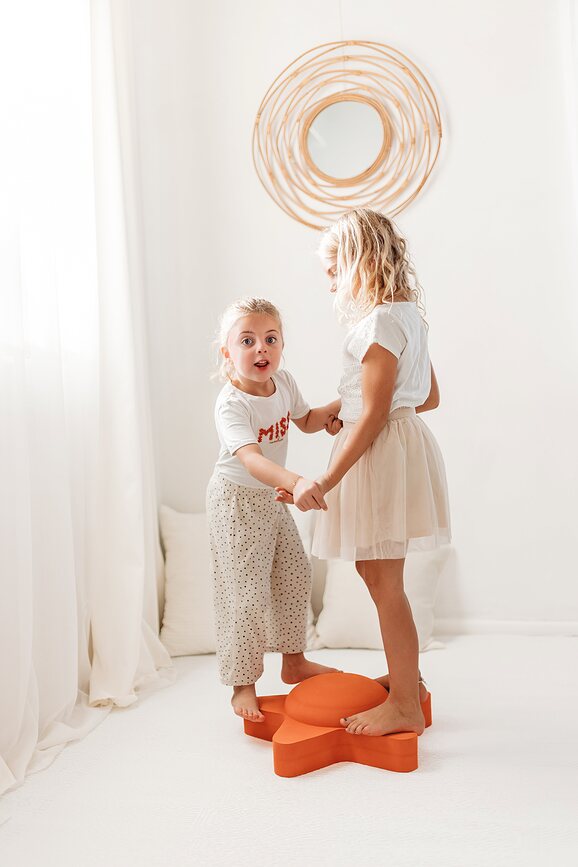 Sea Life Παιχνίδι Δραστηριοτήτων, Αστερίας