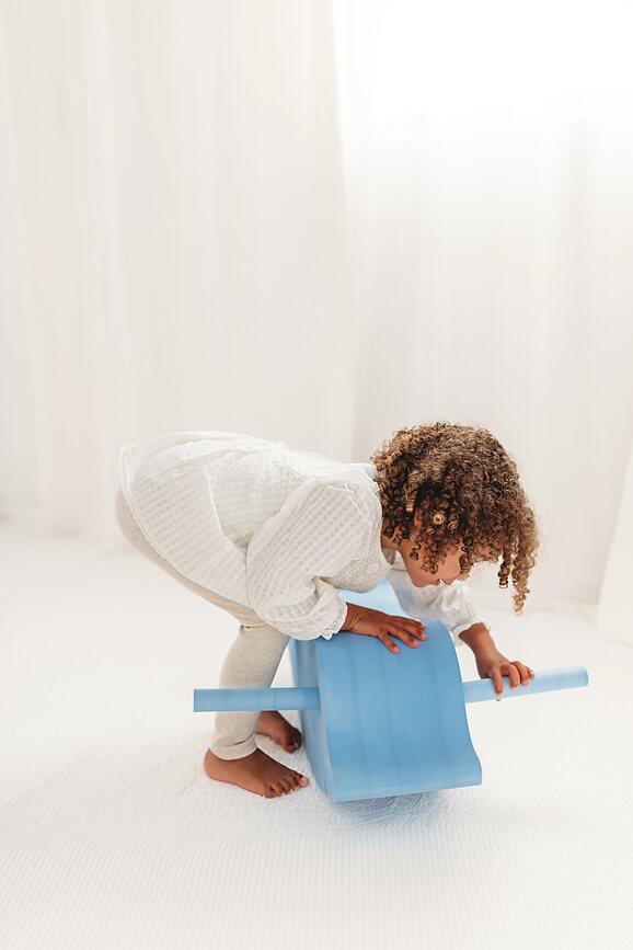 Sea Life Παιχνίδι, κινητό, δελφίνι