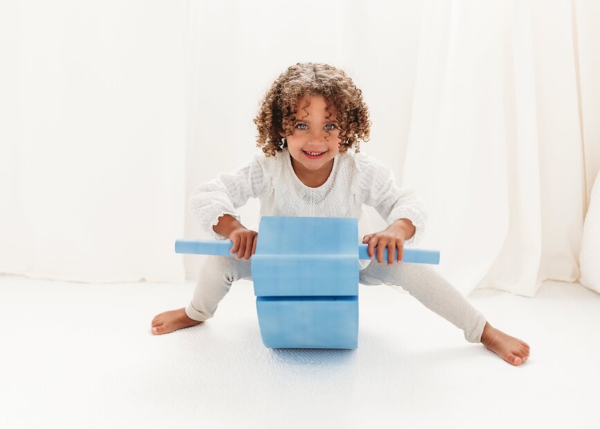 Sea Life Παιχνίδι, κινητό, δελφίνι