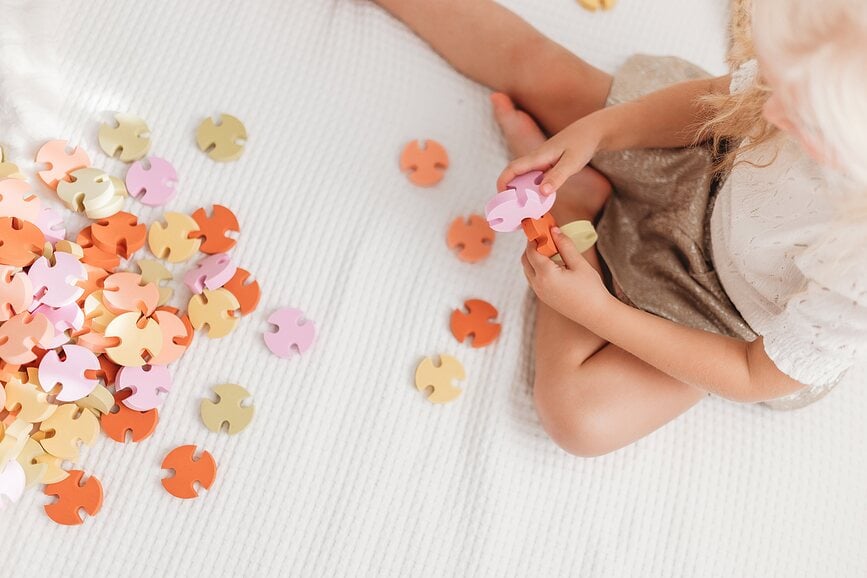 The Circle Connect Blocs de construction, Lot de 50