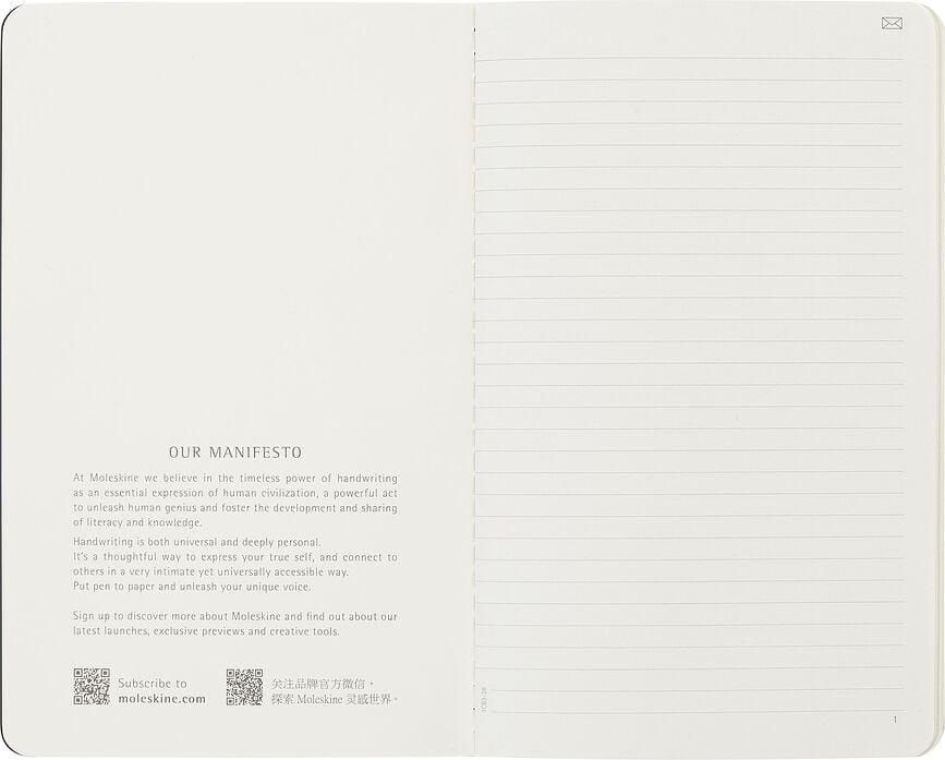 Cuadernos a rayas Moleskine Smart Cahier L, 2 unidades