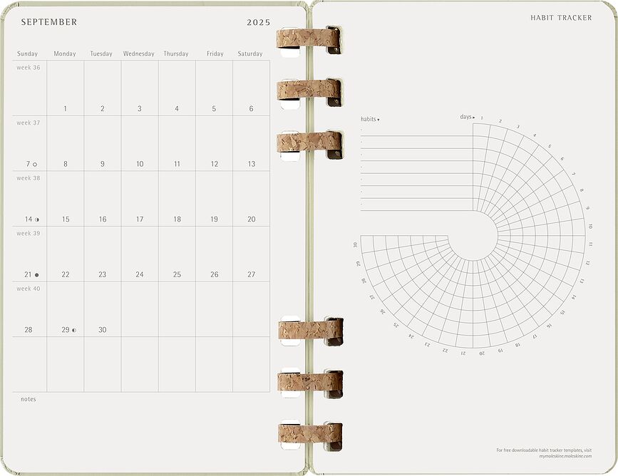 Moleskine Academic Planer spiralni tvrdi uvez 12 mjeseci 2026 L pistacija
