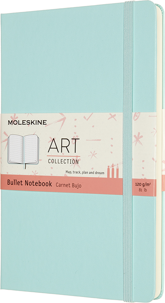 Bullet journal  Plan with me switch carnet 