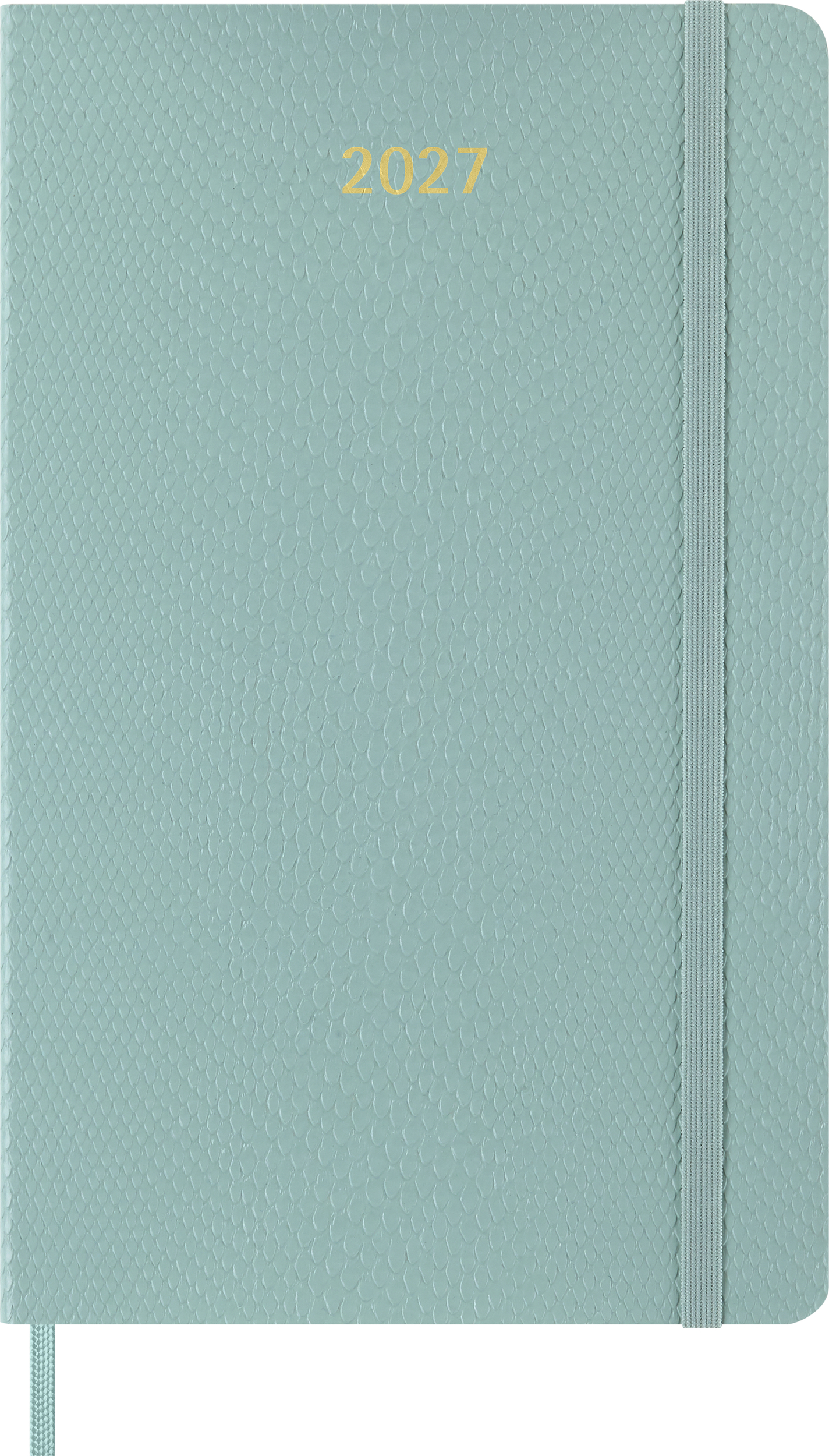 Moleskine Mamba Wochenkalender mit Notizbuch Softcover 2027 12M L, salbeigrün