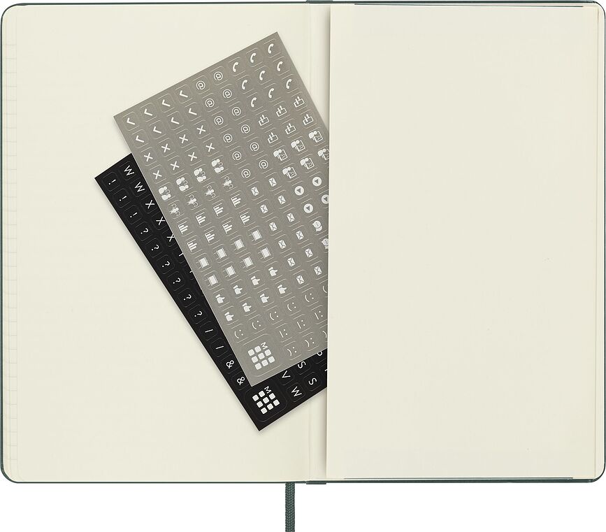 Moleskine Professional Bilježnica L na crte 240 stranica tvrdi uvez crna