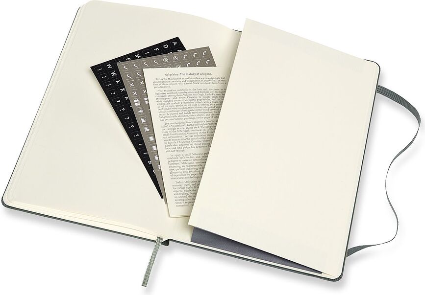 Moleskine Professional Carnet, ligné, Taille L, 240 pages, couverture rigide, noir