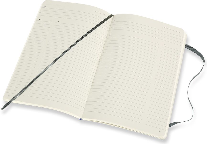 Moleskine Professional Carnet Ligné, format L, 192 pages, couverture souple, vert