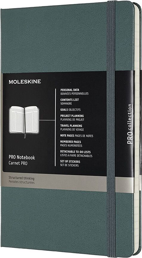 Moleskine Professional Σημειωματάριο L, ριγέ, 240 σελίδες, πράσινο, σκληρό εξώφυλλο