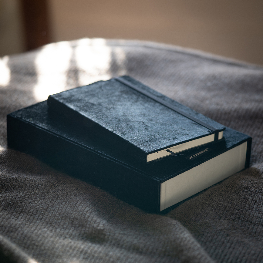 Moleskine Velvet Zvezek s črtami, L, zelen