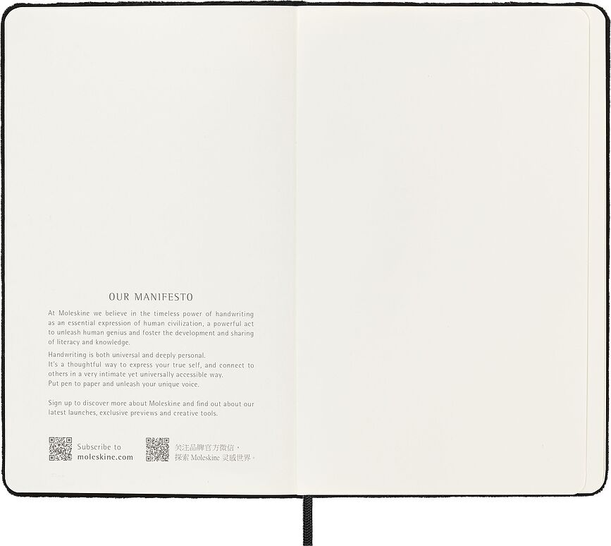 Moleskine Velvet Carnet ligné, Grand format, vert