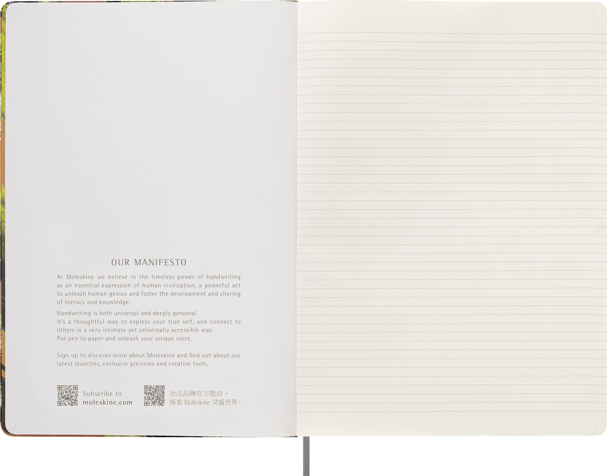 Notes Moleskine Year of the Tiger A4 w linie edycja limitowana FF