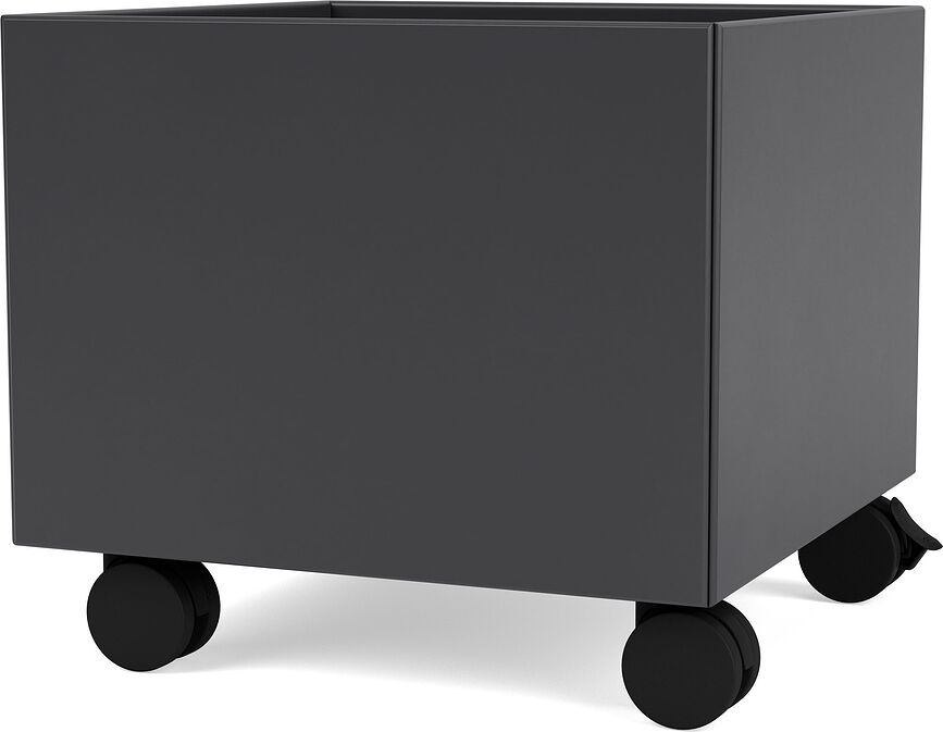 Montana Mini Aufbewahrungsbox anthrazitfarbig auf Rollen