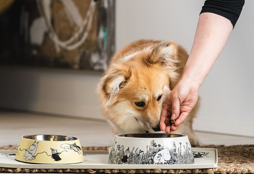 Alfombrilla para mascotas Muurla Moomin, 40 x 60 cm, gris