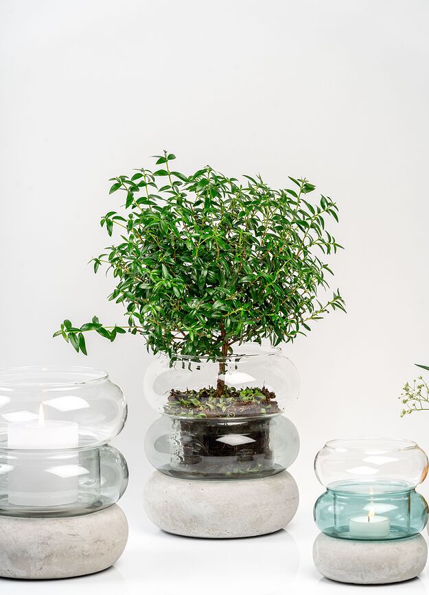 Bagel Vaza Svijećnjak 18,5 cm siva