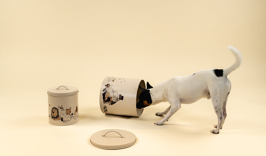 Boîtes de rangement pour aliments pour animaux Muurla Moomins, lot de 2