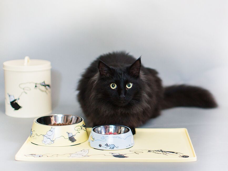 Cuenco para perro o gato Muurla Moomin, talla L