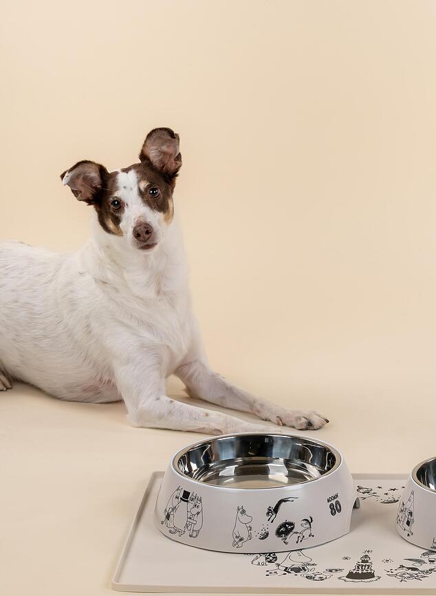 Cuenco para perro o gato Muurla Moomin, modelo 80 M