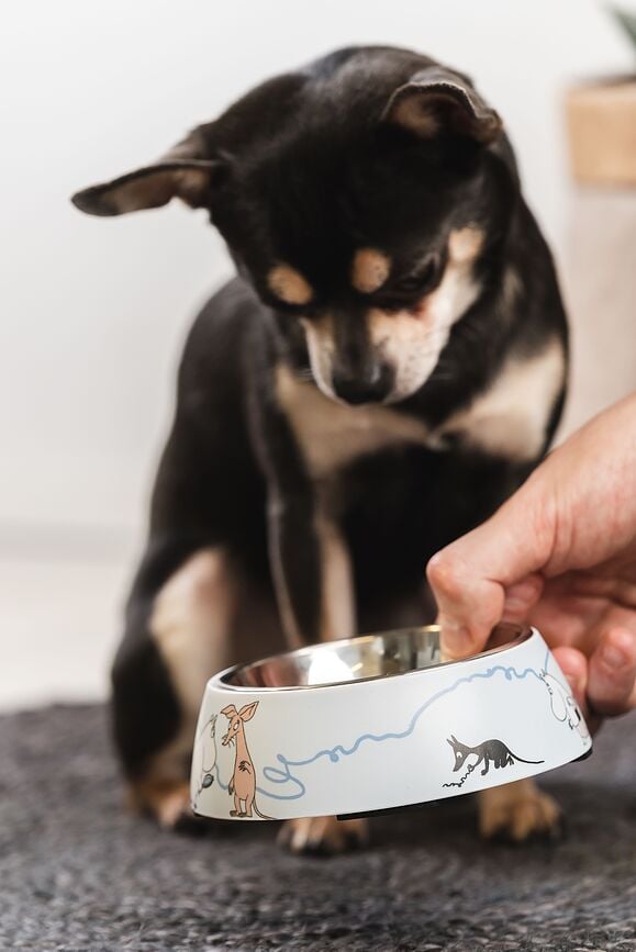 Cuenco para perro o gato Muurla Moomin, talla S, rosa