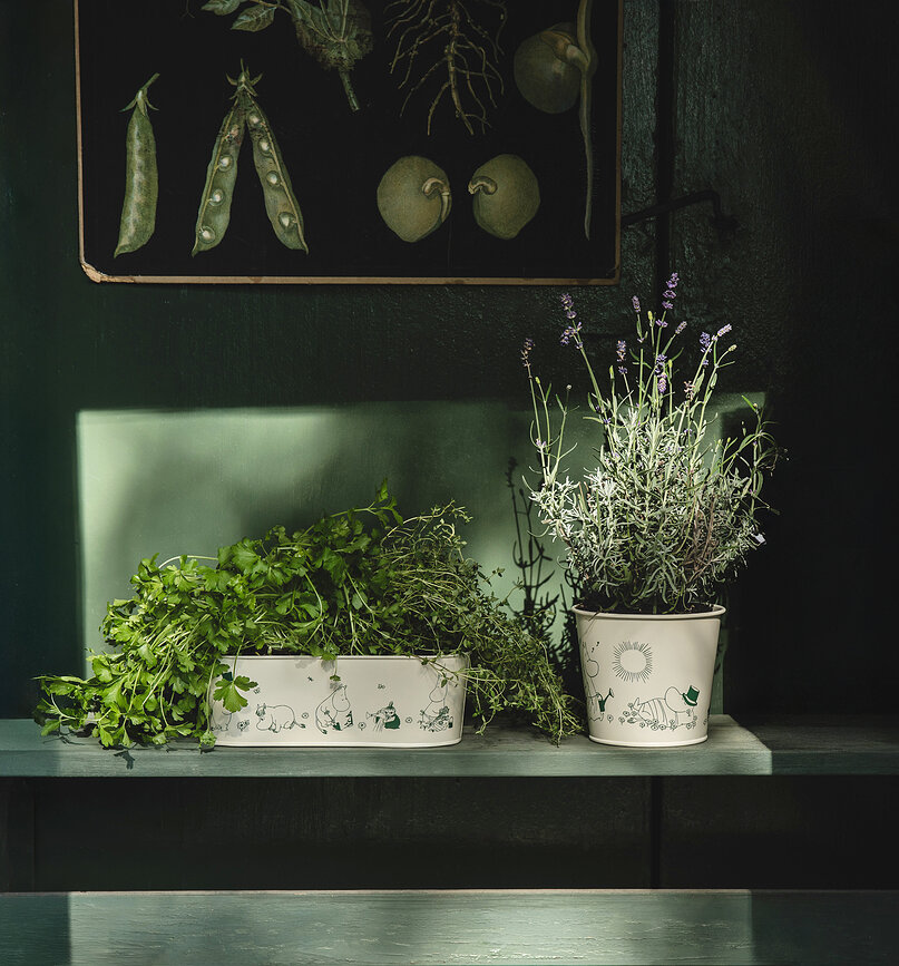 Maceta Muurla Moomin Gardenia 16 cm