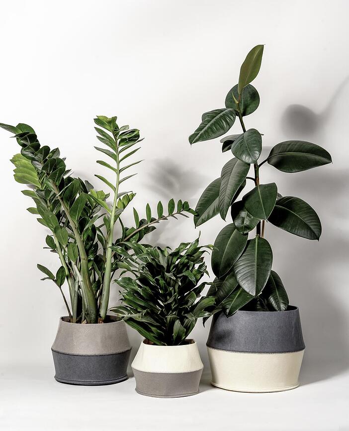 Muurla Cache-pots, Lot de 3