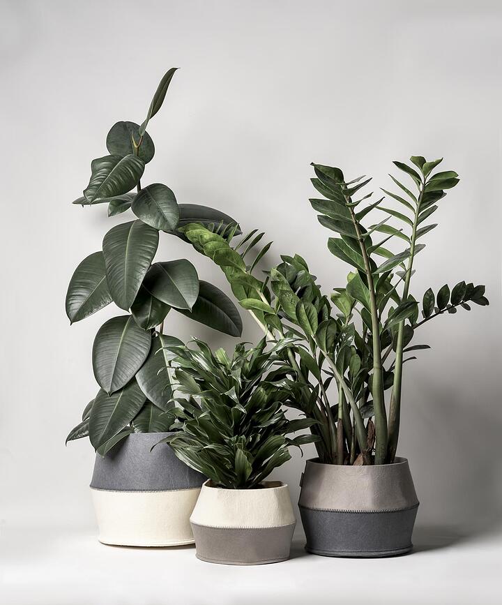 Muurla Cache-pots, Lot de 3