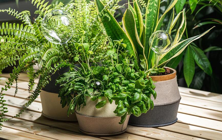 Muurla Cache-pots, Lot de 3