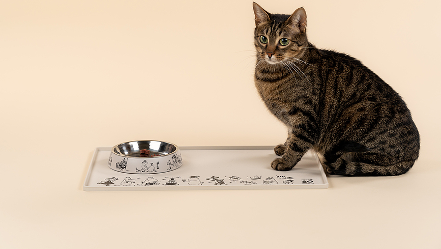 Muurla Gamelle pour Chat Moomins, 80