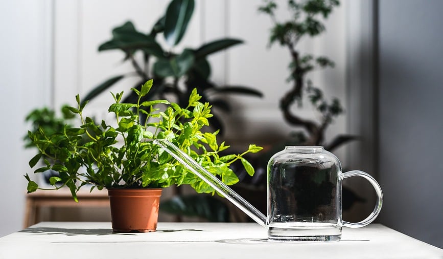 Muurla Kanta za zalijevanje staklena