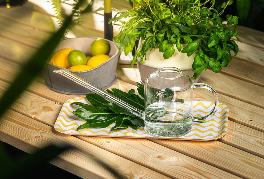 Muurla Kanta za zalijevanje staklena