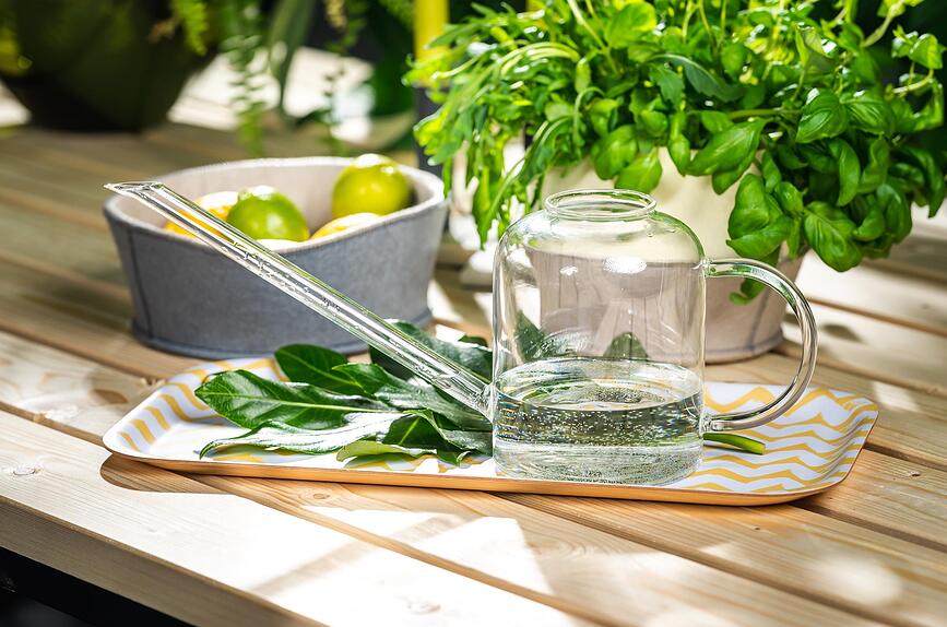 Muurla Kanta za zalijevanje staklena